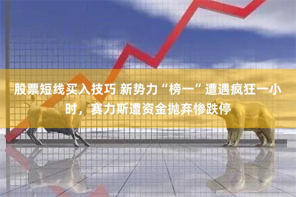 股票短线买入技巧 新势力“榜一”遭遇疯狂一小时，赛力斯遭资金抛弃惨跌停