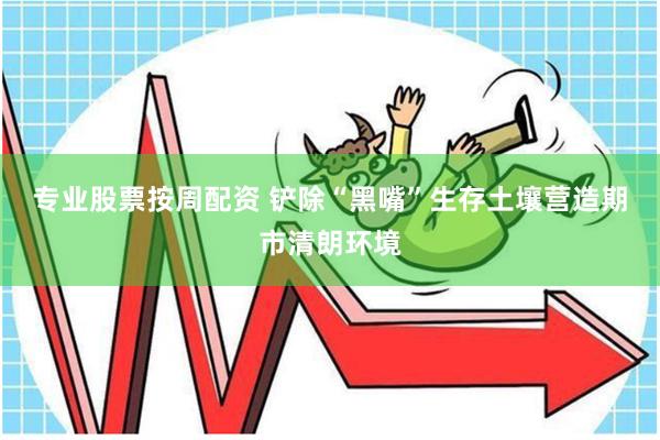 专业股票按周配资 铲除“黑嘴”生存土壤营造期市清朗环境