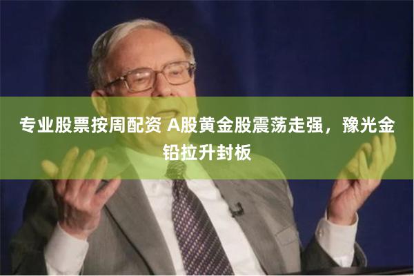 专业股票按周配资 A股黄金股震荡走强，豫光金铅拉升封板