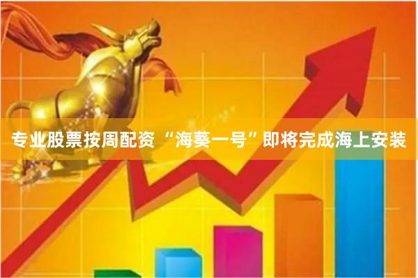 专业股票按周配资 “海葵一号”即将完成海上安装