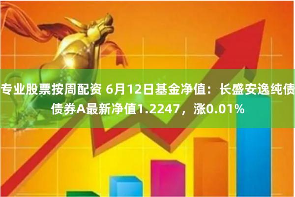 专业股票按周配资 6月12日基金净值：长盛安逸纯债债券A最新净值1.2247，涨0.01%