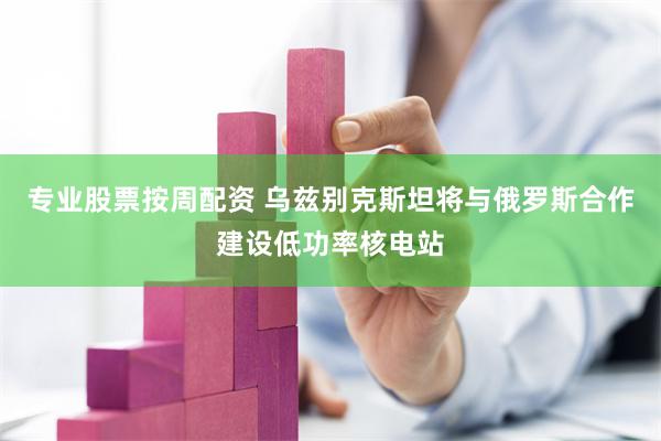 专业股票按周配资 乌兹别克斯坦将与俄罗斯合作建设低功率核电站