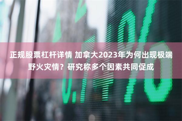 正规股票杠杆详情 加拿大2023年为何出现极端野火灾情？研究称多个因素共同促成