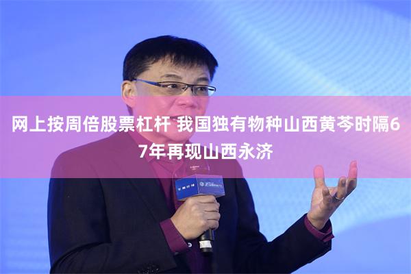 网上按周倍股票杠杆 我国独有物种山西黄芩时隔67年再现山西永济