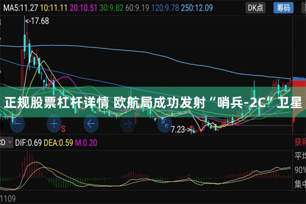 正规股票杠杆详情 欧航局成功发射“哨兵-2C”卫星