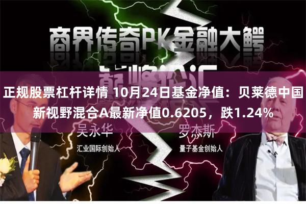 正规股票杠杆详情 10月24日基金净值：贝莱德中国新视野混合A最新净值0.6205，跌1.24%