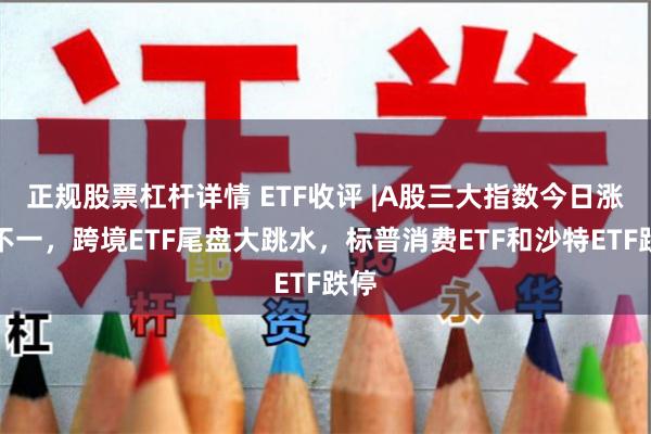 正规股票杠杆详情 ETF收评 |A股三大指数今日涨跌不一，跨境ETF尾盘大跳水，标普消费ETF和沙特ETF跌停