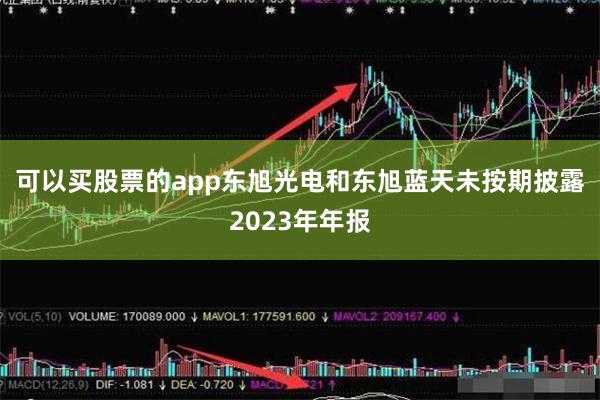 可以买股票的app　　东旭光电和东旭蓝天未按期披露2023年年报