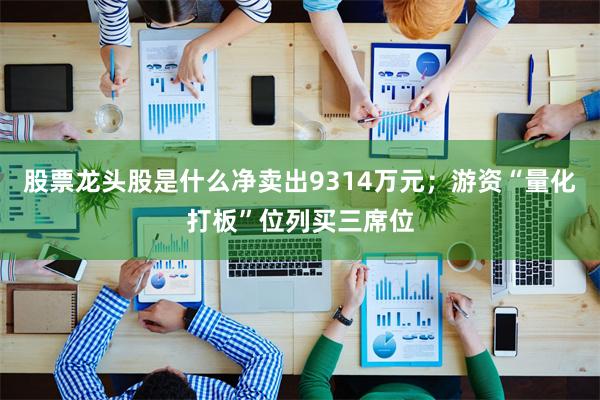 股票龙头股是什么净卖出9314万元；游资“量化打板”位列买三席位