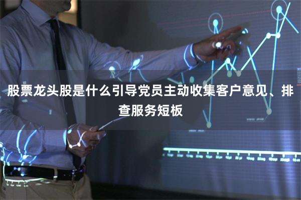 股票龙头股是什么引导党员主动收集客户意见、排查服务短板