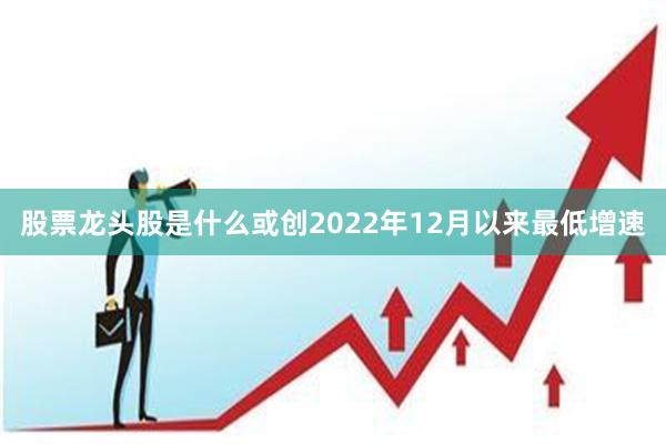 股票龙头股是什么或创2022年12月以来最低增速