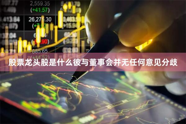 股票龙头股是什么彼与董事会并无任何意见分歧