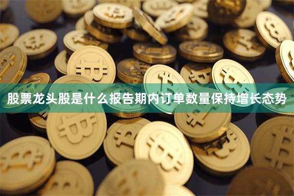 股票龙头股是什么报告期内订单数量保持增长态势