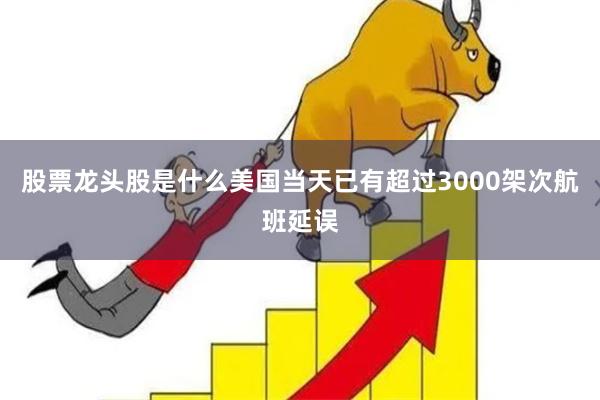 股票龙头股是什么美国当天已有超过3000架次航班延误